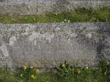 image of grave number 842596
